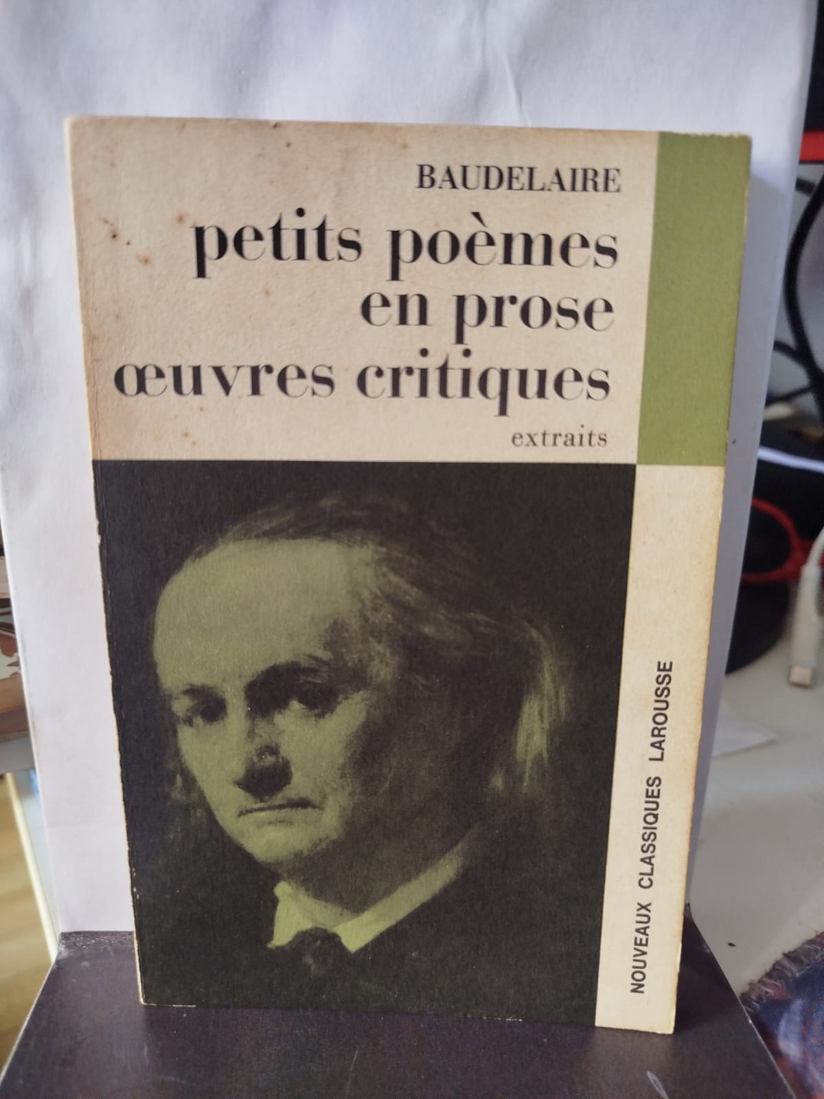Petits poèmes en prose: œuvres critiques