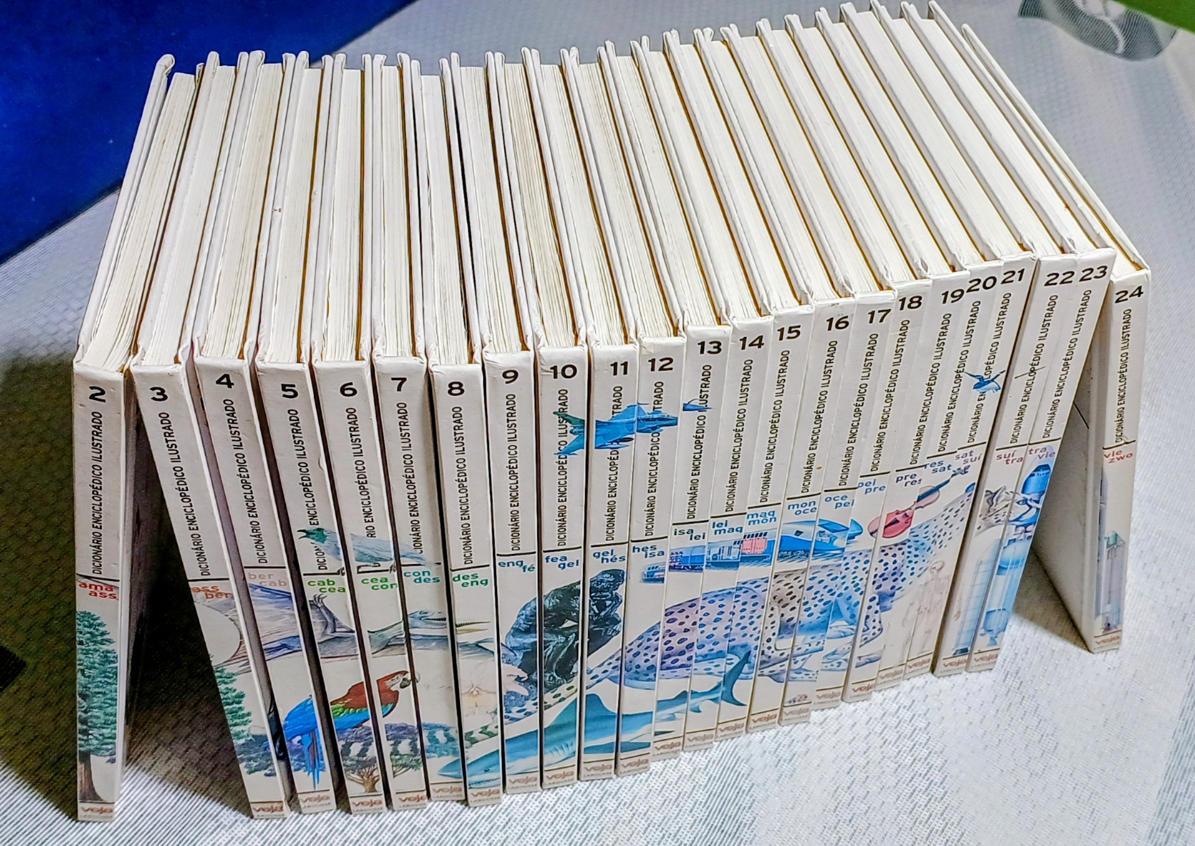 Coleção de Livros - Dicionário Enciclopédico Ilustrado - Veja Larousse - 22 vol