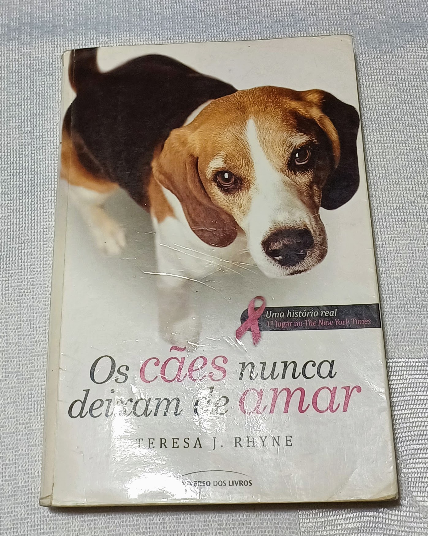 Os Cães Nunca Deixam de Amar