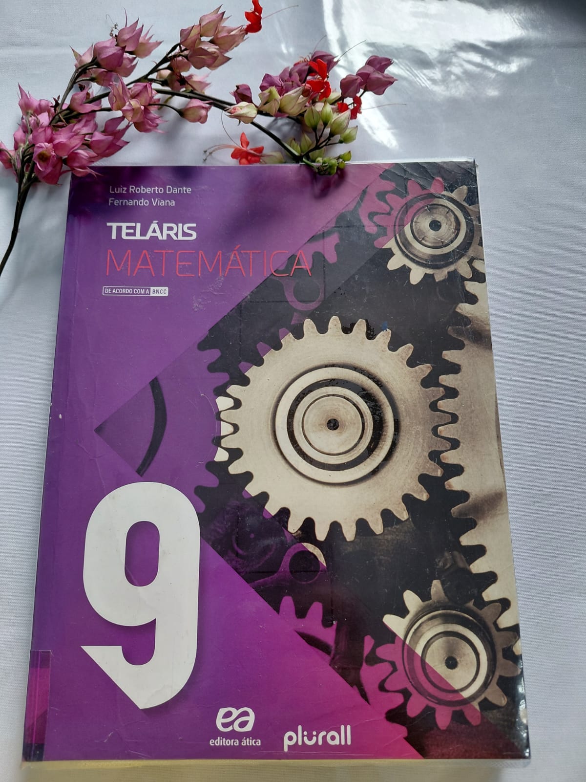 Livro Teláris Matemática 9º ano 