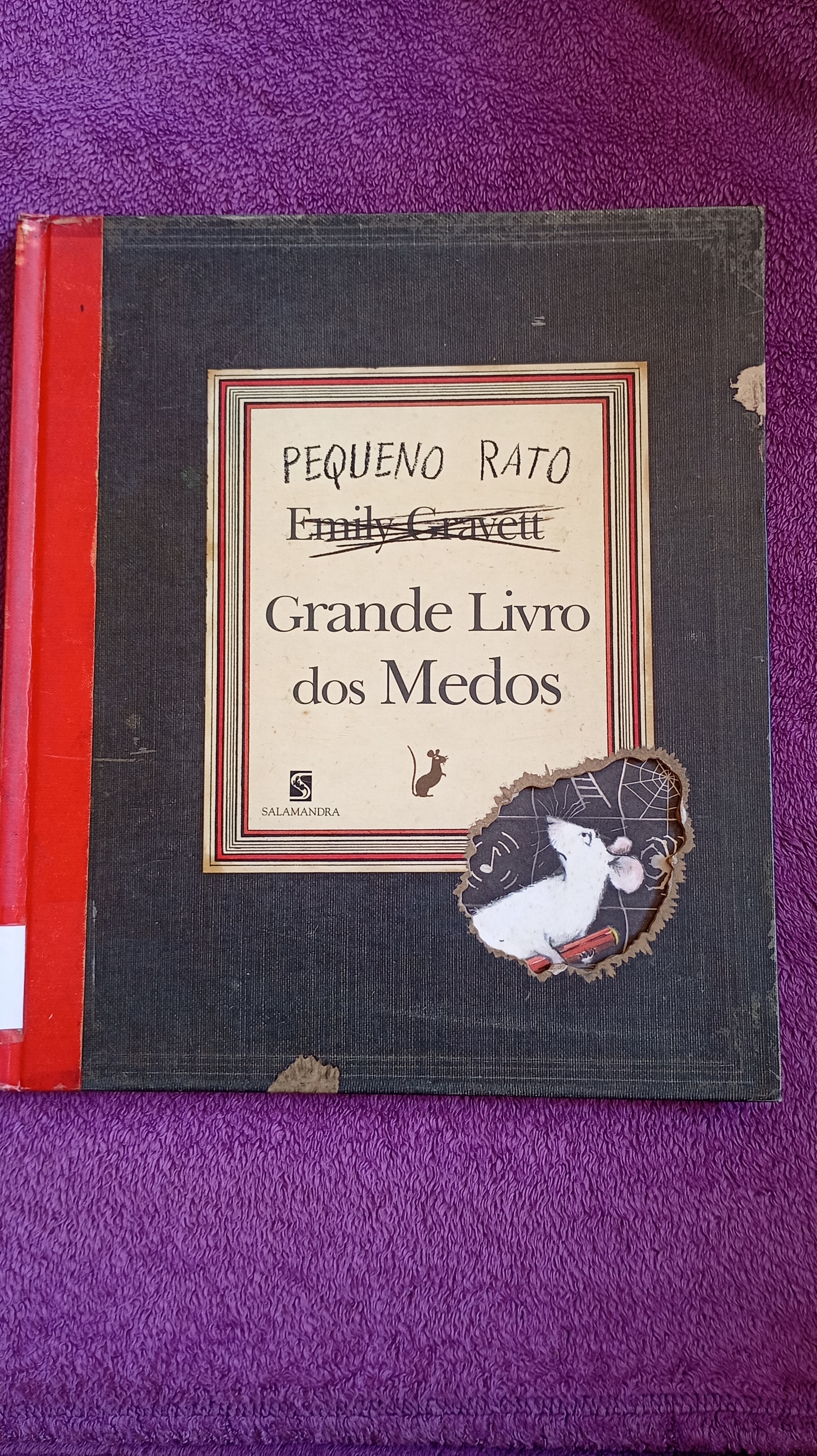 Pequeno Rato o Livro Dos medos 