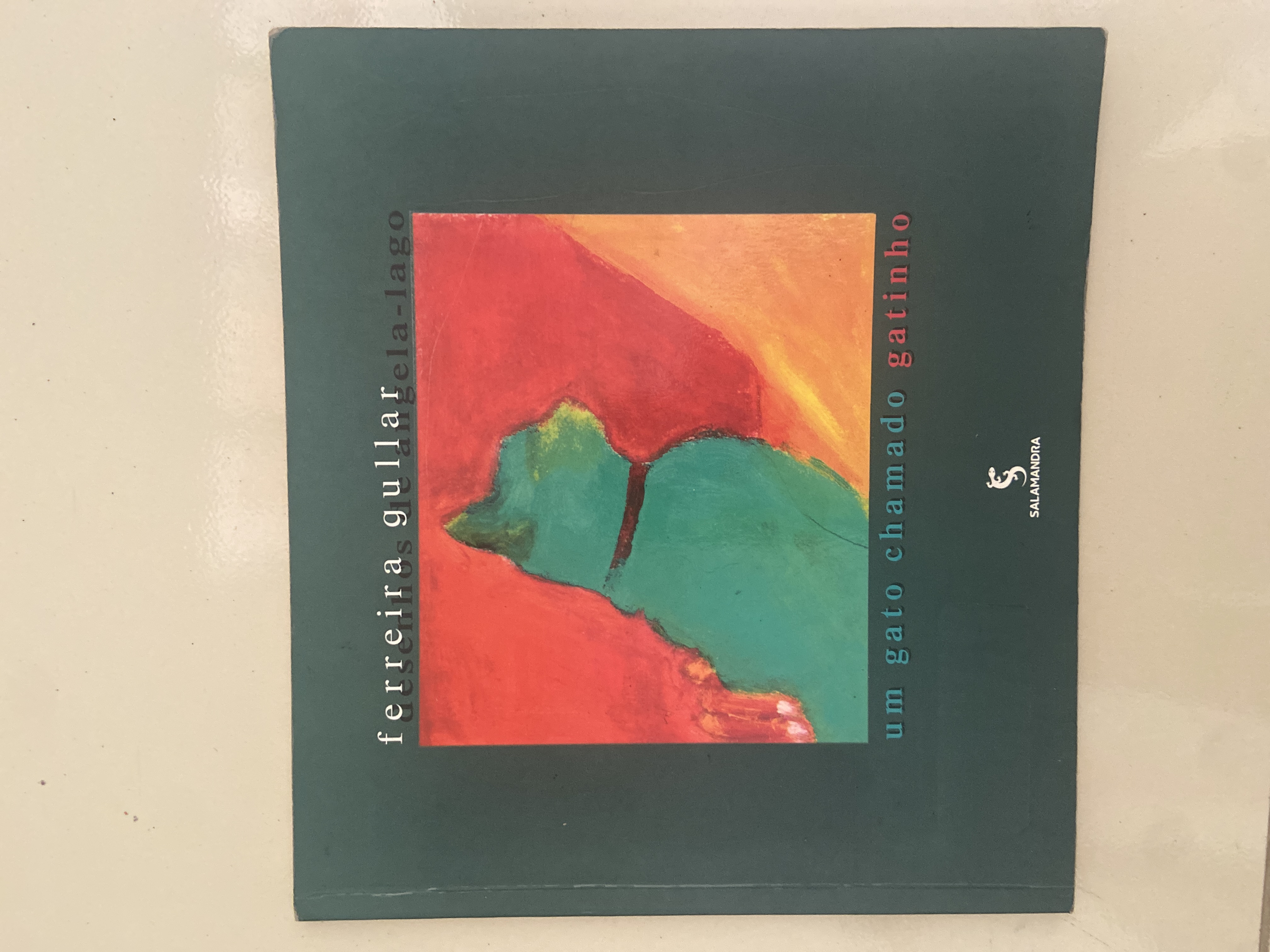 Um gato chamado gatinho 